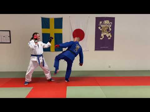 Ju-Jutsu fighting kicks