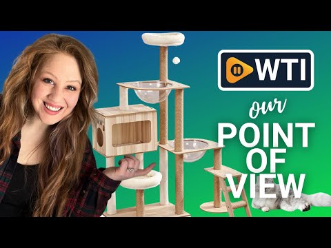 Cat Tree - WTI product video review
