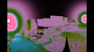 More-Than-Human Urban Design