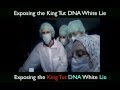 REAL King Tut DNA Test = BLACK 100% 