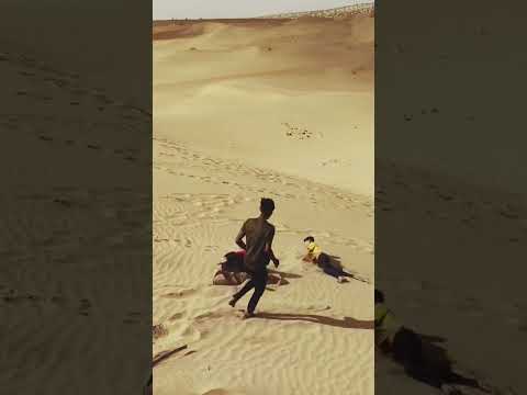 Jaisalmer k dhore🏜️