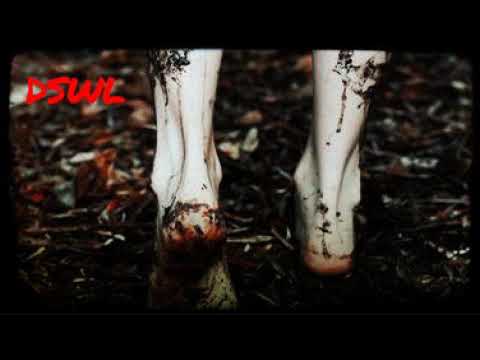 ΔLLICØRN ➖ Gravity | we are rUINED