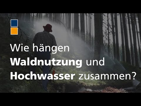 Waldnutzung und Hochwasser: HILUC-Projekt untersucht Zusammenhänge