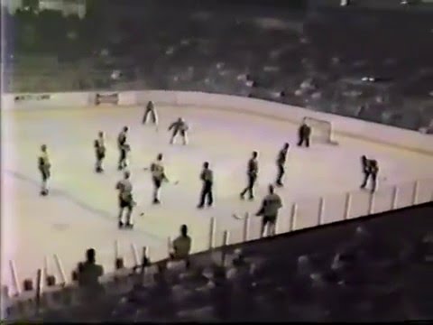 Lumberjacks beat Darren Pang & Saginaw in OT - 1986 Turner Cup Playoffs