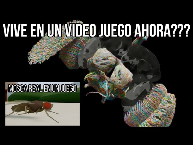 Vídeo relacionado con UDNFHL 50 Piezas De Mosca Simulada, Pequeños Juguetes De Plástico, Accesorios De Terror Creativos De Parodia, Mini Modelos Convenientes, Decoraciones De Fiestas.