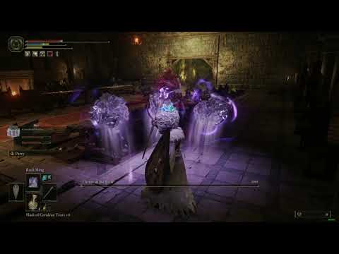 Elden Ring - Elemer of the Briar Boss Fight (Mage Build)