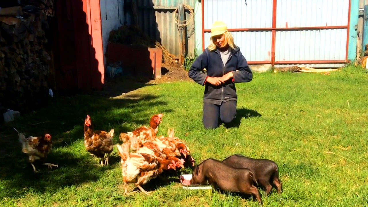 🌻 Моя жизнь на краю села | Непредвиденная поездка в Киев