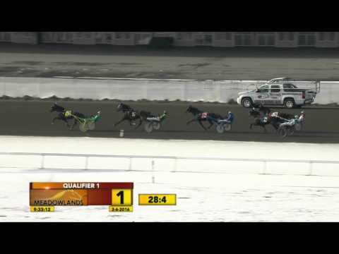 Meadowlands Qualifier #1 - February 6, 2016 - The Bakers Choice