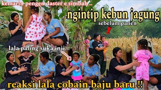Download lagu LALA POO TRYING ON NEW CLOTHES AS SOUVENIRS FROM KEDIRI ‼️PEEKING AT THE CORN FIELD BEFORE HARVES... mp3 Download lagu LALA POO TRYING ON NEW CLOTHES AS SOUVENIRS FROM KEDIRI ‼️PEEKING AT THE CORN FIELD BEFORE HARVES... mp3