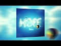 Tobu Hope Orchestral Cover