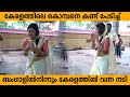 ആനയെ ഇത്രക്കൊക്കെ പേടിക്കണോ Kallanum Bhagavathiyum