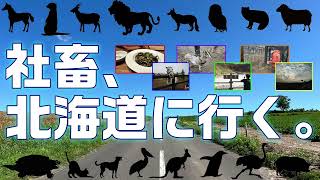 社畜、北海道に行く。Part3