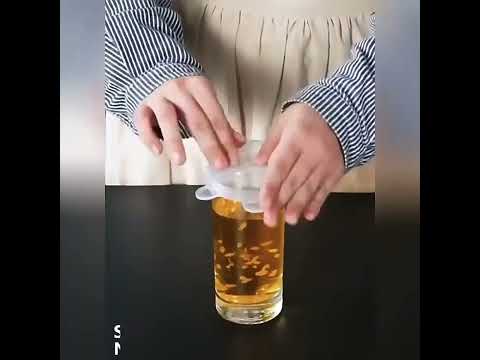 Silicone Stretch Lids