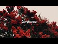 The Jesus And Mary Chain - April Skies [ Sub. Español ]