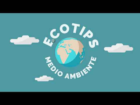 Día Mundial del Medio Ambiente