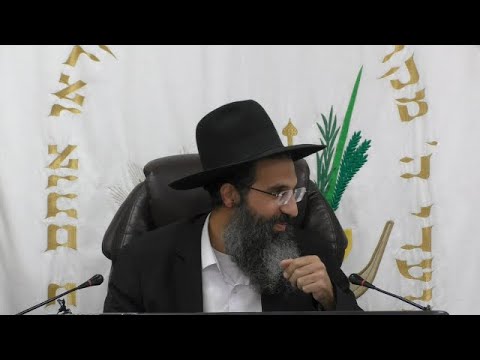 הלכות תלמיד חכם - א' - פטור ממס | יורה דעה - סימן רמג | חלק 303 | הרב שי עובד