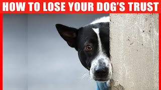 15 Ways to Lose Your Dog's Trust