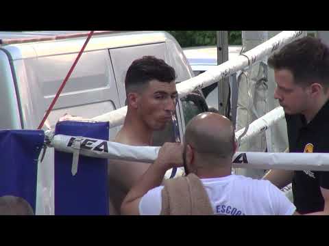 Thai Boxing Club Pro Cup   Full tournament