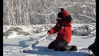 Ловля крупного окуня на водоемах краснодарского края