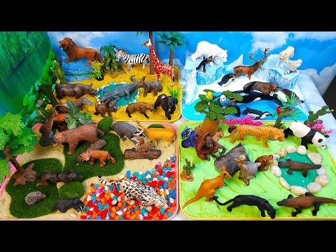 HUGE Animal Diorama- 4 habitat-African Polar Forest and Exotic animals-Learn animal names