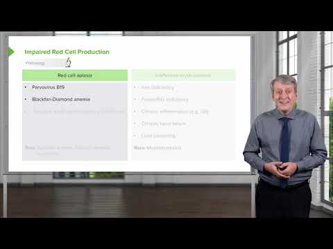 Anemia in Children- 3 Categories