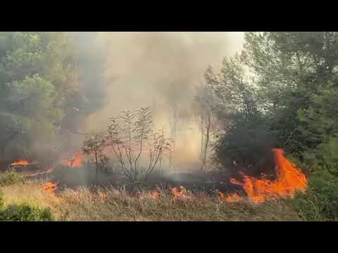 Ora News - Zjarri përfshin pyllin në Vlorë, zjarrëfikës dhe banorë në angazhim për të shuar flakët