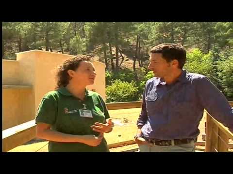 Espacios Naturales: Sierra de Gredos (Parte 2/2)