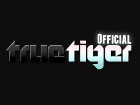 True Tiger - In The Air (ft. Professor Green & Maverick Sabre) (S.P.Y Remix)