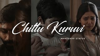 Chittu kuruvi - WhatsApp Status Tamil #dhanush #ma