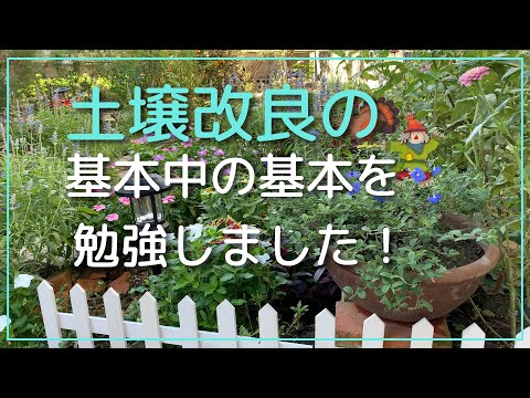 泥炭を含まない土壌: 環境をどのようにサポートするか トピックス