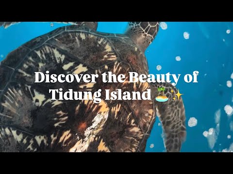 Discover the Beauty of Tidung Island (Promotional Video for English Assignment)
