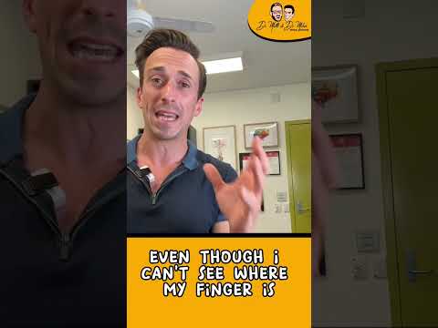 What does the cerebellum do?