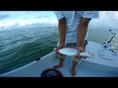 Fishing Seatrout Spawning on YouTube