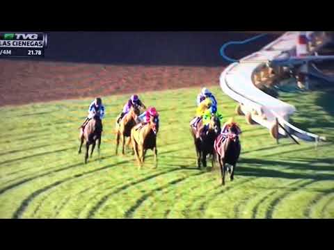 LAS CIENEGAS (G STAKES) 1/20/18 - CONIAH !!!