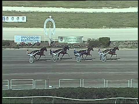 Trotto 27/09/2015 - 1° prova di qualifica