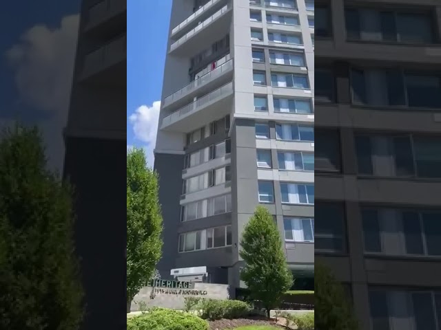 Preview image: Video 14