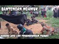 BANTENGAN ️ GARUDA JAYA LIVE PENANGGUNGAN TRAWAS