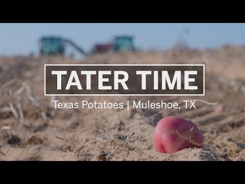 Tater Time | Texas Potatoes