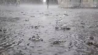 빗소리 자장가 불면증 해소 시원한 빗물  빗소리 ASMR #빗소리ASMR #불면증치료ASMR #자장가ASMR  #びっしょりASMR #雨声ASMR #RainSoundASMR
