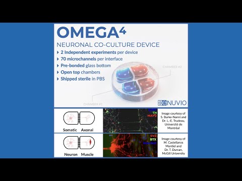 OMEGA-4 Neuronal Co-culture and Compartmentalization Device (product video)
