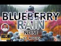 Soothing Blueberry Rain Noise 12 Hours BLACK SCREEN Study Sleep Tinnitus Relief Focus