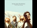 Noah and the Whale Slow Glass