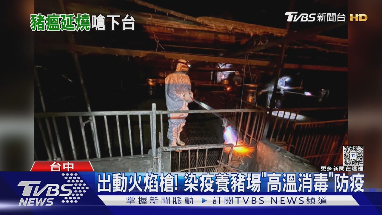 豬瘟疫情！台中綠營議員怒敲桌　狂批廚餘處理與疫調