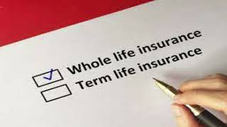 Main Topics of Life Insurance by Benjamin Lucas | Term Life & Permanent Life Insurance
