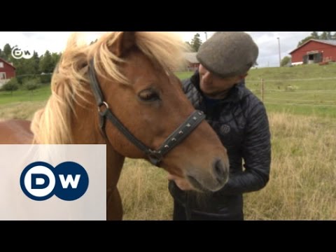 Auf dem Rücken der Pferde | Euromaxx