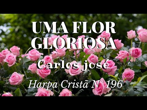 Uma Flor Gloriosa - Carlos José - Harpa Cristã_ N° 196 - Legendado