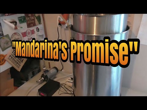 Golden Promise + Mandarina Bavaria SMaSH - Brew Day