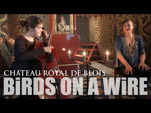 Birds On A Wire, Rosemary Standley & Dom La Nena