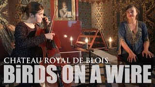 Birds On A Wire, Rosemary Standley & Dom La Nena