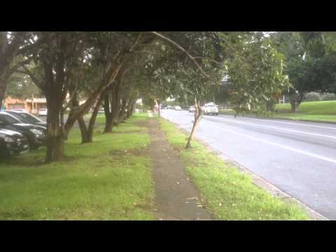 Sydney Bus Vlog 2 Gipps Road, Five Dock